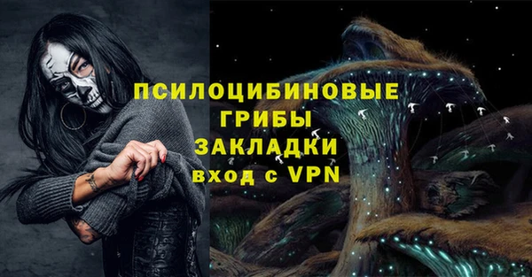 прущий лед Белокуриха