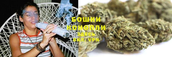 прущий лед Белокуриха