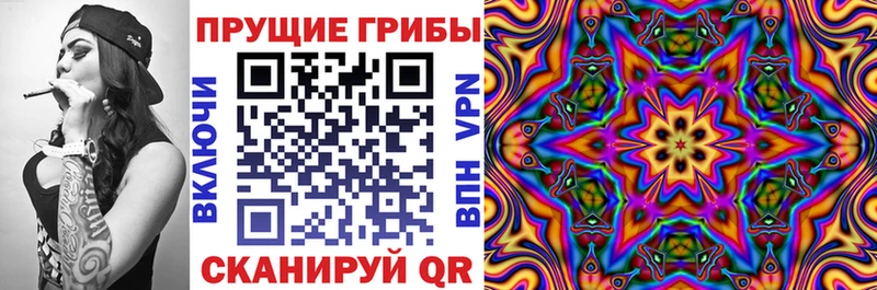 мега вход  сайты даркнета официальный сайт  Псилоцибиновые грибы мицелий  Няндома 